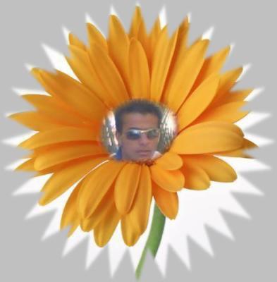 c moi